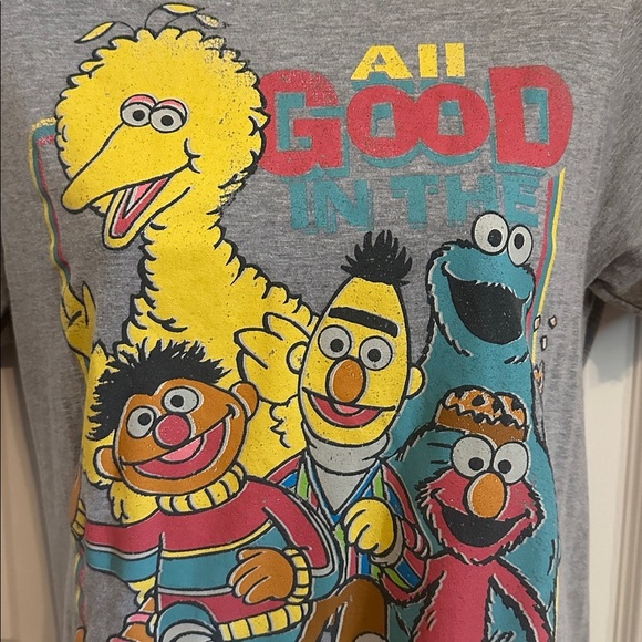 Sesame Street Distressed Tee Tshirt Shirt Women’s Small S - Picture 3 of 4